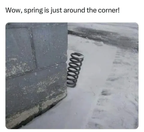 Spring Around the Corner