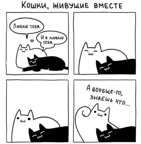 Кошки, нивущие вместе