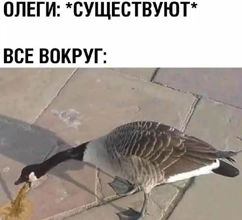 Олеги существуют, все вокруг