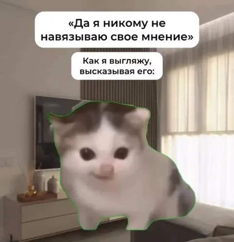 Мнение, высказанное котом