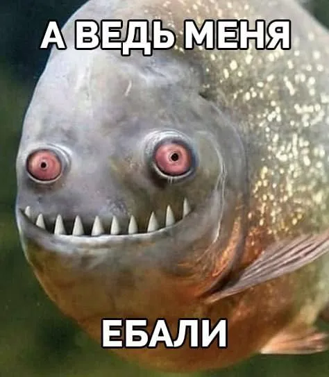 А ведь меня ебали