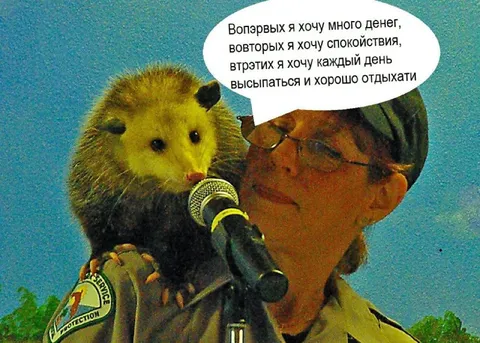 Опоссум хочет всё сразу