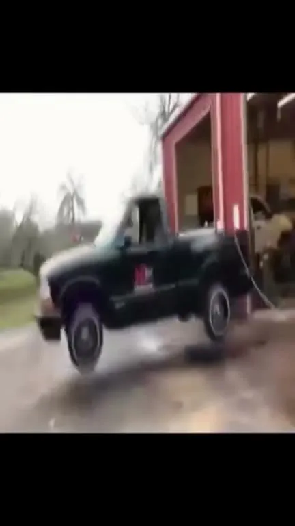 Fake Car vs Real Car Dog Reaction
