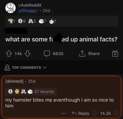 Hamster Bites Despite Kindness