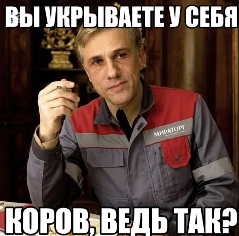 Вы укрываете у себя коров
