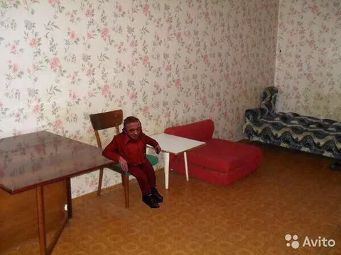 Маленький мужик в комнате