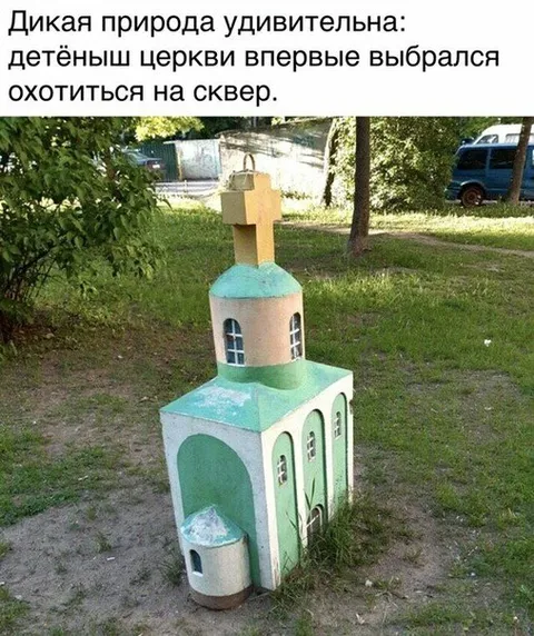 Детёныш церкви на охоте