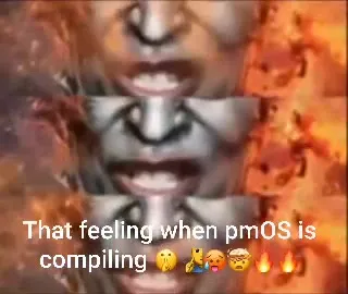 That Feeling When pmOS Compiles