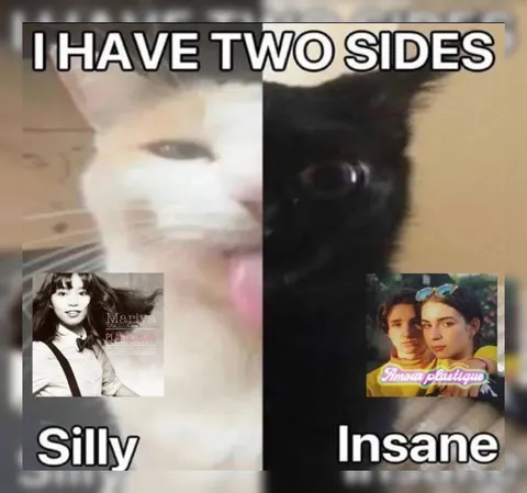 I Have Two Sides Cat