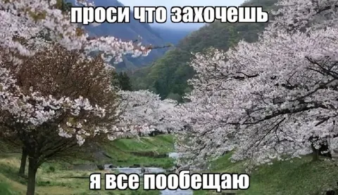 Проси что захочешь
