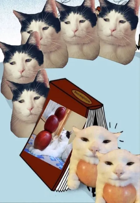 Коты с яблоками и книгой