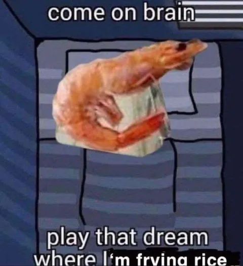 Shrimp Frying Rice Dream