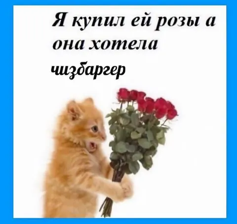 Котёнок с букетом роз