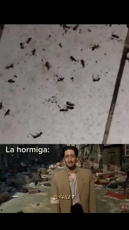 La hormiga en el apocalipsis