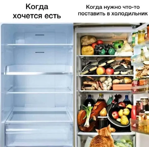 Пустой холодильник против полного
