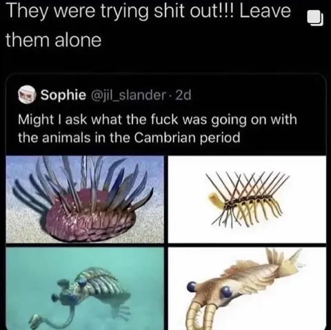 Cambrian Animals Were Trying Things