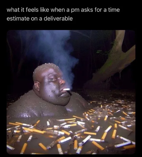 PM Asks for an Estimate
