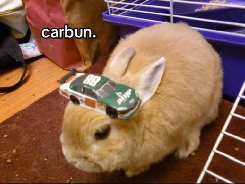 Carbun Rabbit