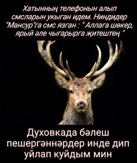 Аллага шөкер, чыгарырга җитештең