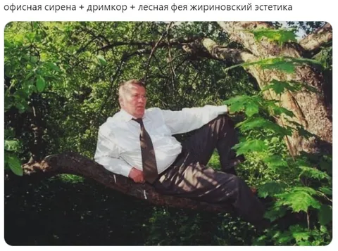 Жириновский в лесной эстетике