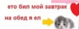 Мой завтрак и обед