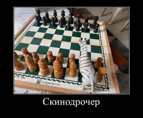 Скинодрочер на шахматной доске