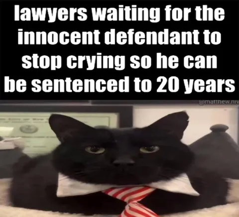 Lawyers Waiting for the Defendant