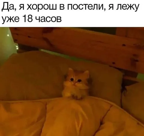 Лежу в постели 18 часов