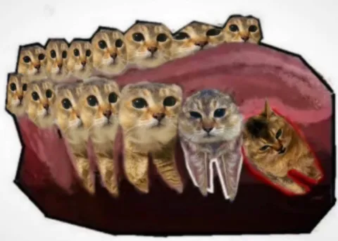 Кошки в красном коконе