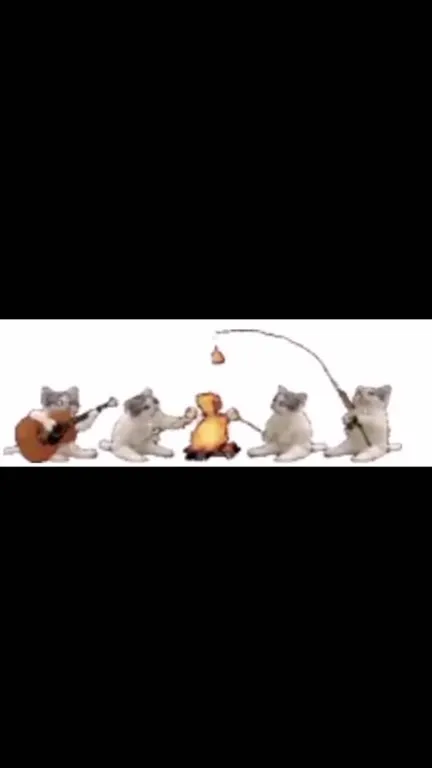 Коты у костра под гитару