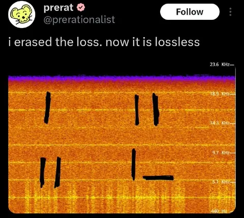 I Erased the Loss
