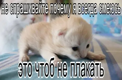 Не спрашивайте, почему я смеюсь