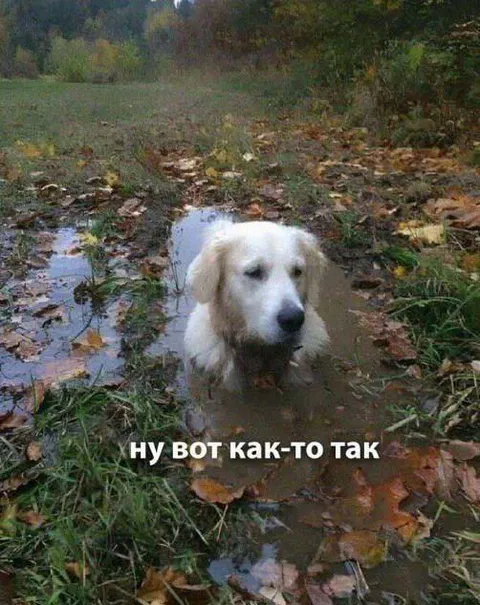 Ну вот как-то так