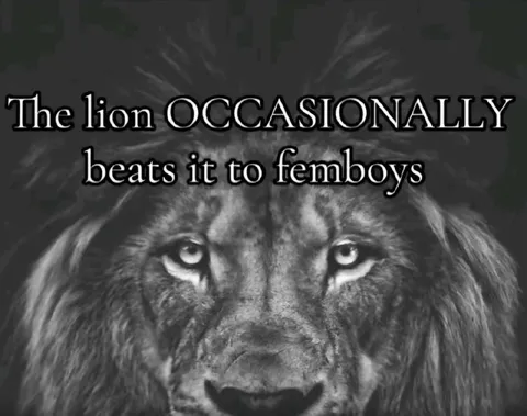 Lion Occasionally Beats Femboys