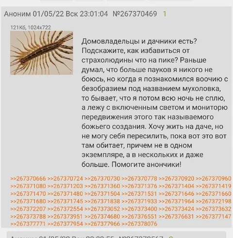 Мухоловка на даче