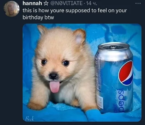 Birthday Puppy With Pepsi