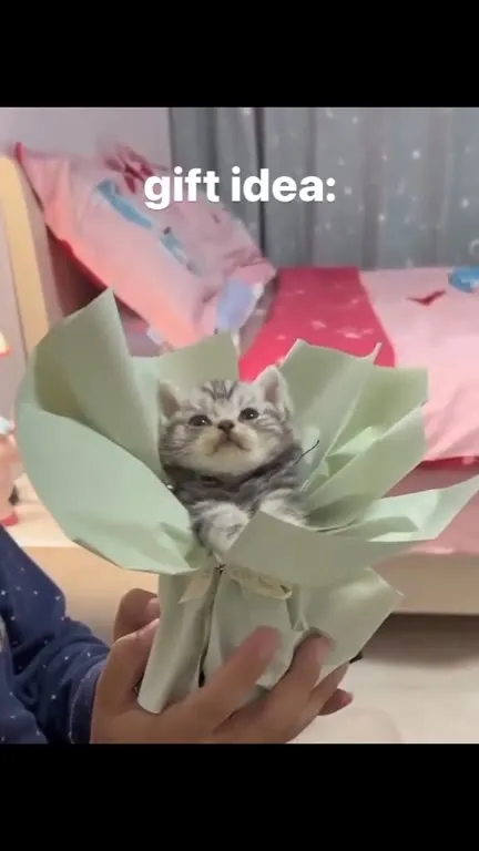 Kitten Bouquet Gift Idea