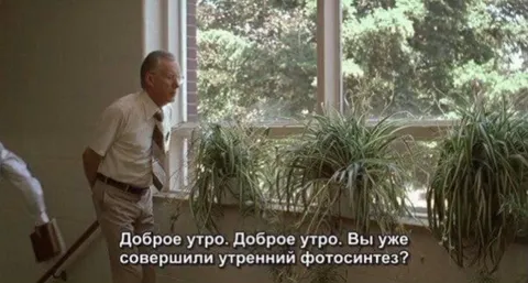 Доброе утро, утренний фотосинтез