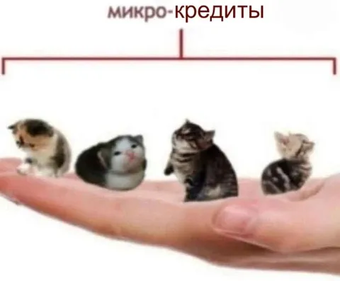 Микрокредиты на ладони