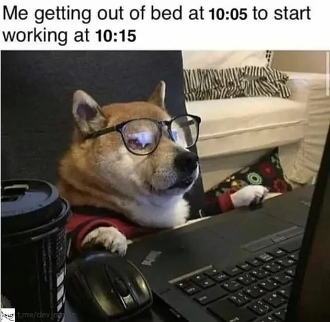 Dog Starts Work Ten Minutes Late