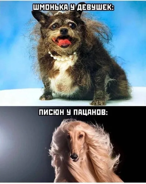 Шмонька у девушек и песион у пацанов