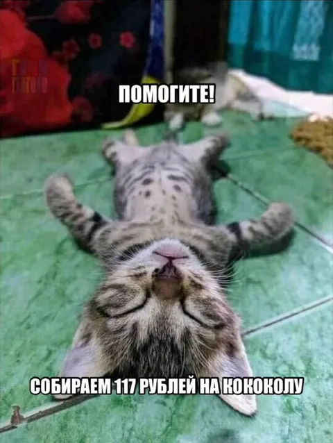 Кот собирает 117 рублей