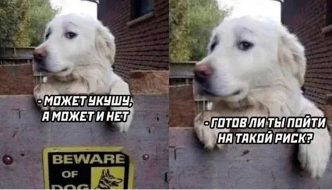 Готов ли ты рискнуть