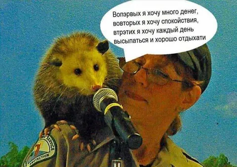 Хочу много денег и спокойствия