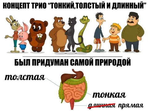 Тонкий, толстый и длинный