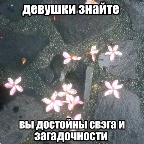 Девушки достойны связа и загадочности