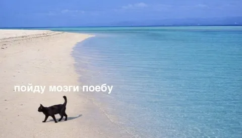 Пойду мозги поебу