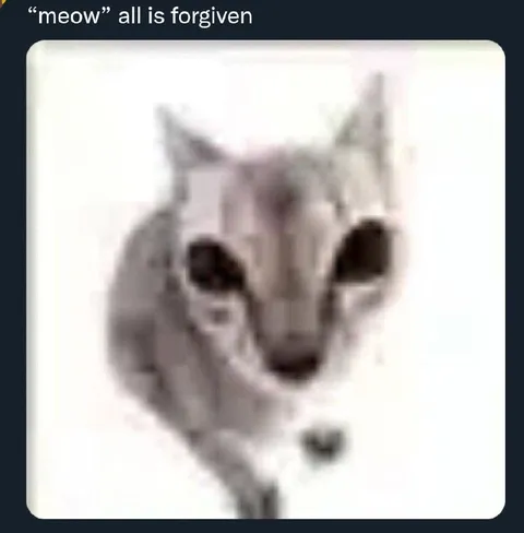 Meow All Is Forgiven