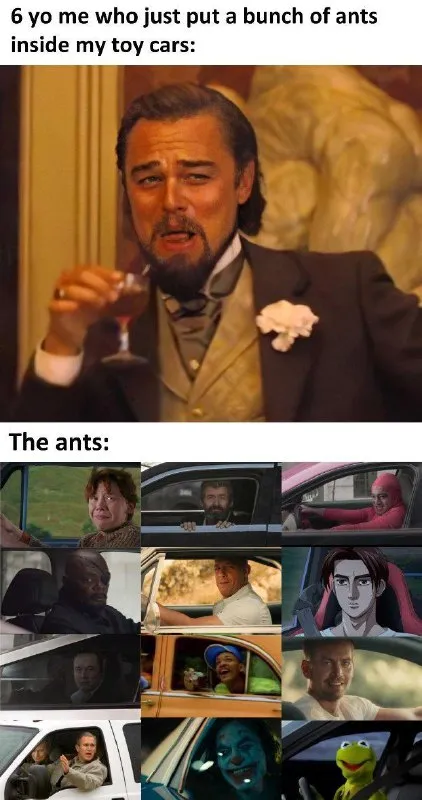 Ants Driving Toy Cars