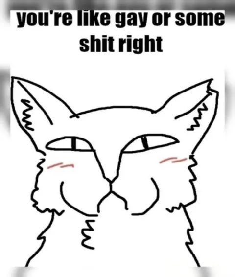 You're Like Gay or Some Shit